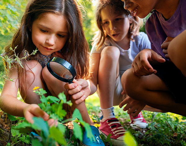 Metodologia do Ensino de Ciências Naturais
