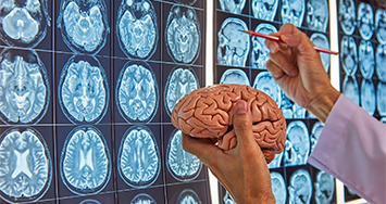 Neurociências e Educação